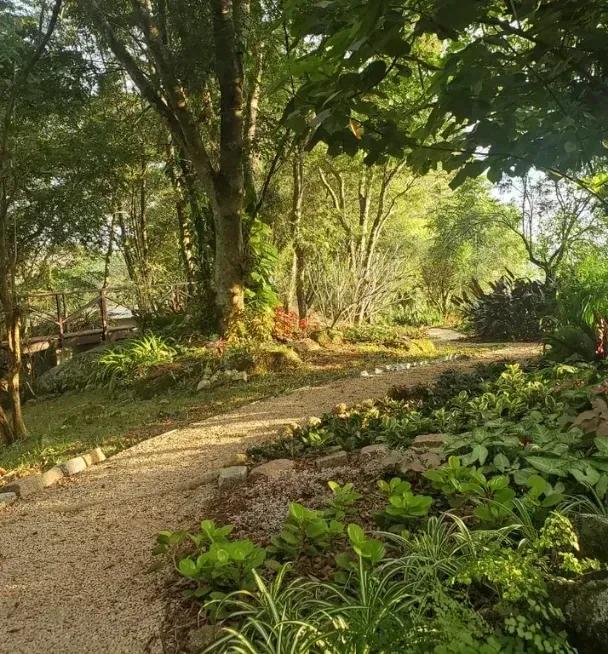 Dirt path among trees and plants at St. Damian Monastery