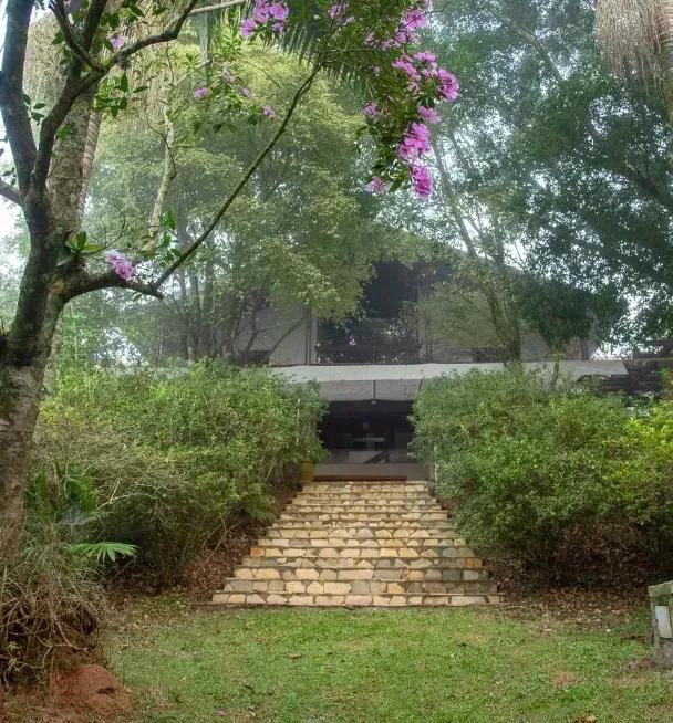 Stone steps through the greenery leading to a monastery building