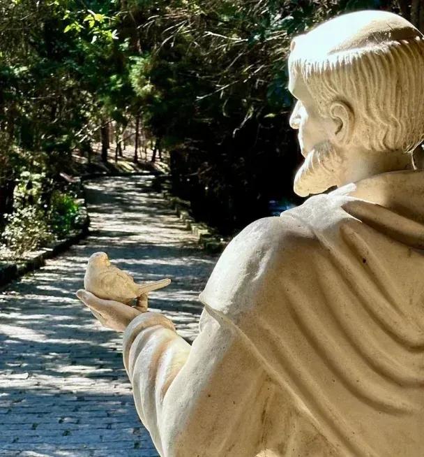 Statue of Saint Francis holding a bird, with a tree-lined path in the background